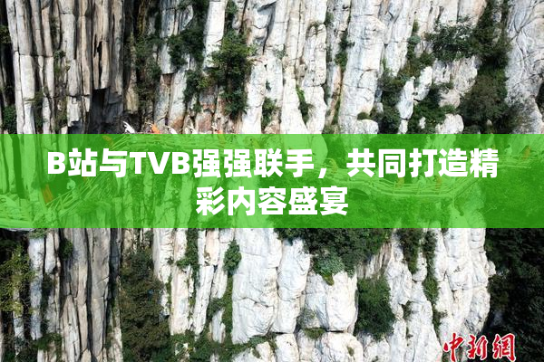 B站与TVB强强联手，共同打造精彩内容盛宴