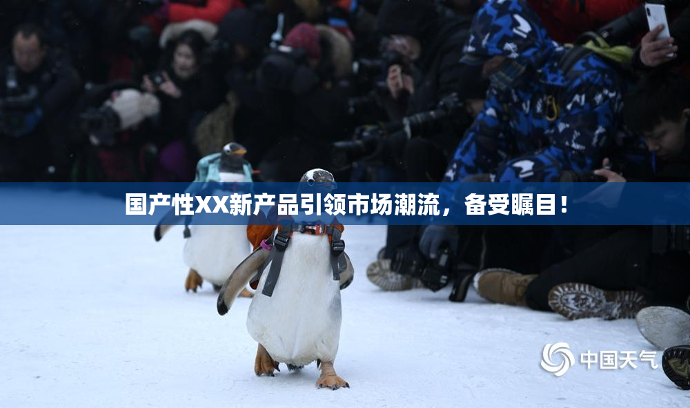 国产性XX新产品引领市场潮流，备受瞩目！
