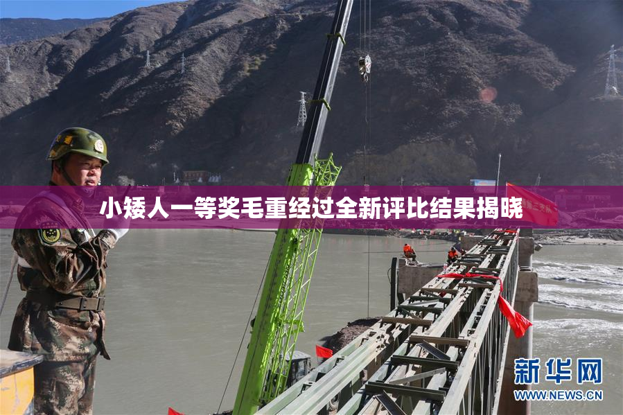 小矮人一等奖毛重经过全新评比结果揭晓