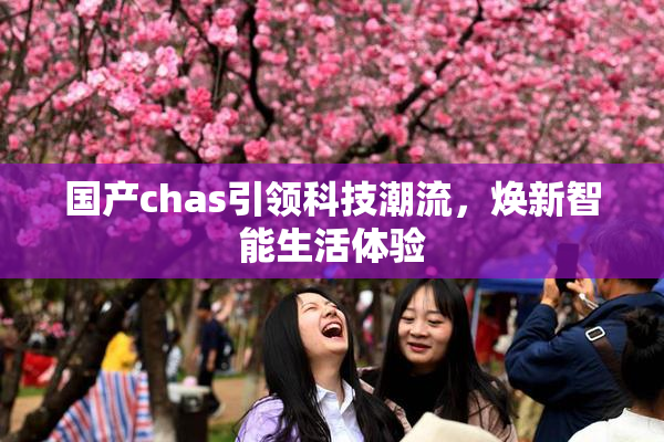 国产chas引领科技潮流，焕新智能生活体验