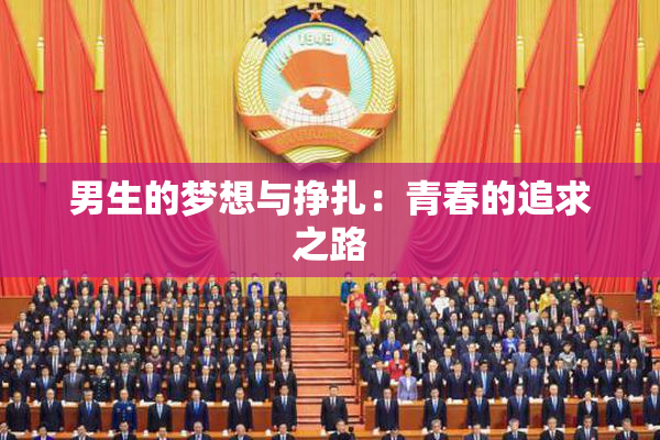 男生的梦想与挣扎：青春的追求之路