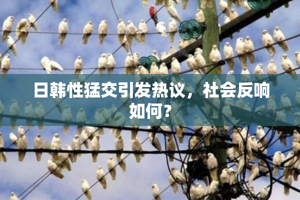 日韩性猛交引发热议，社会反响如何？