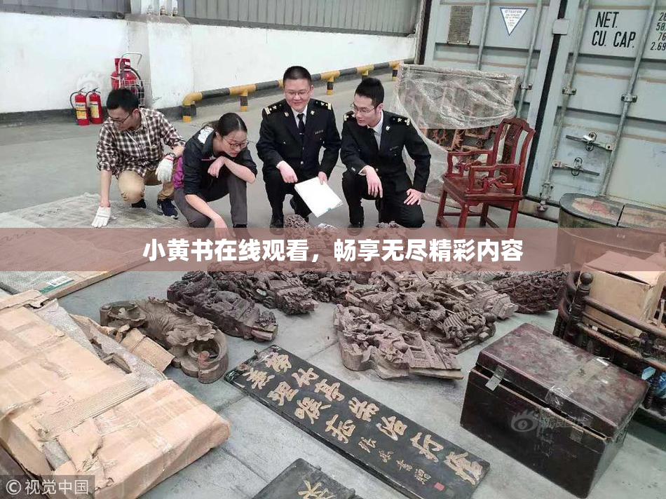 小黄书在线观看，畅享无尽精彩内容