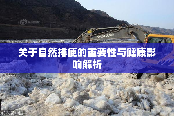 关于自然排便的重要性与健康影响解析