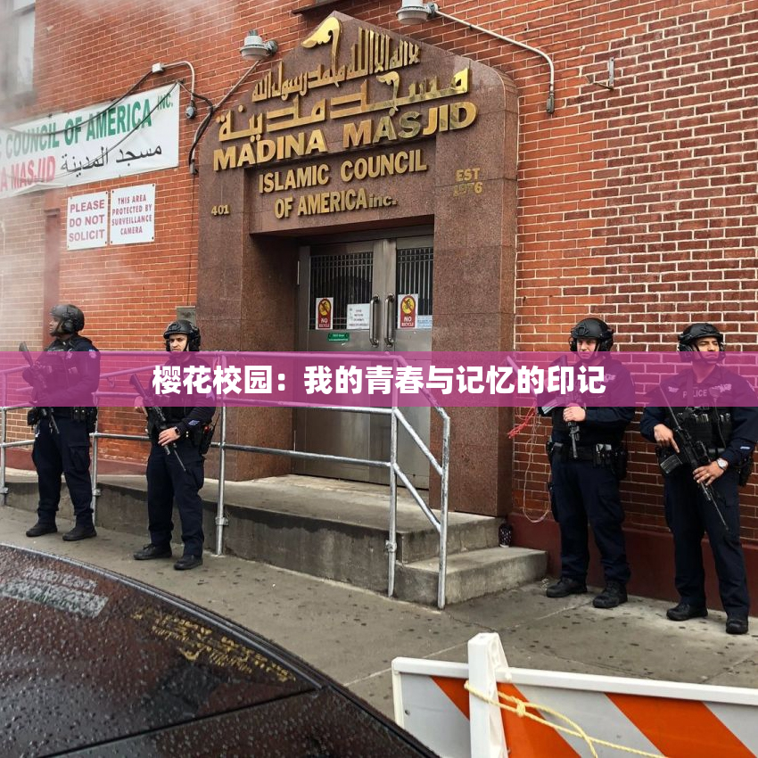 樱花校园：我的青春与记忆的印记