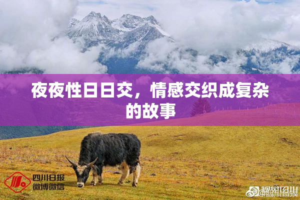 夜夜性日日交，情感交织成复杂的故事