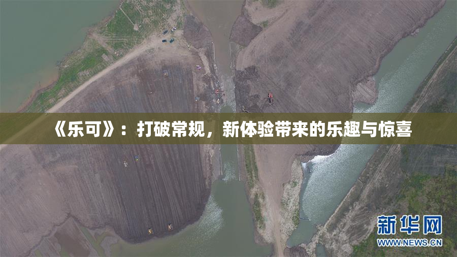 《乐可》：打破常规，新体验带来的乐趣与惊喜