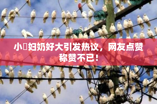 小婬妇奶好大引发热议，网友点赞称赞不已！
