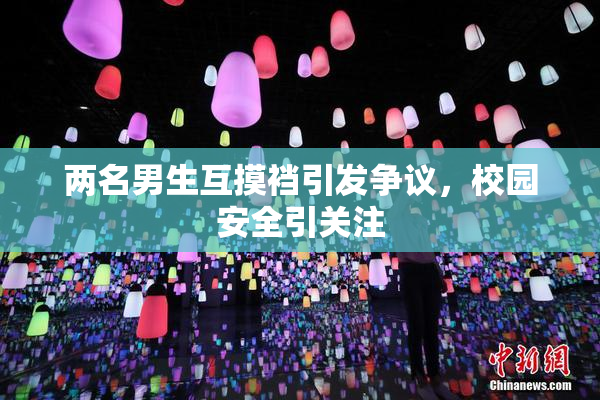 两名男生互摸裆引发争议，校园安全引关注