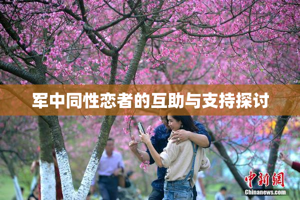 军中同性恋者的互助与支持探讨