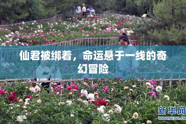 仙君被绑着，命运悬于一线的奇幻冒险