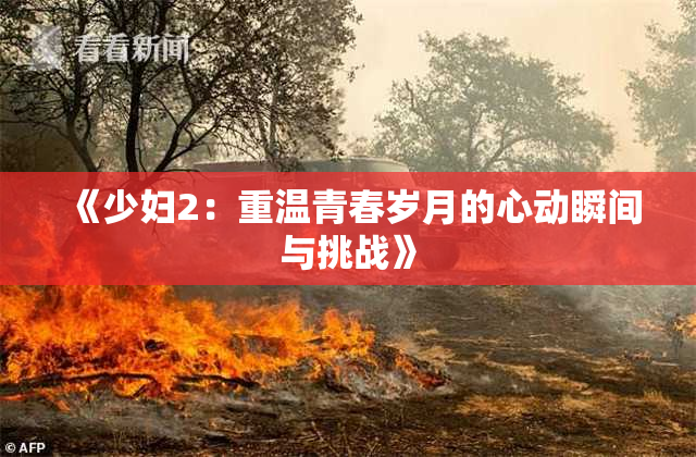 《少妇2：重温青春岁月的心动瞬间与挑战》