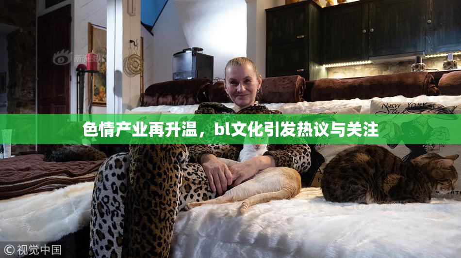 色情产业再升温，bl文化引发热议与关注