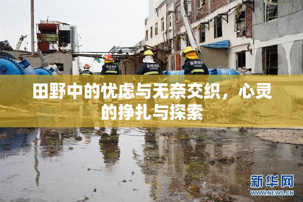田野中的忧虑与无奈交织，心灵的挣扎与探索