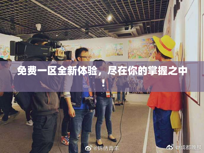 免费一区全新体验，尽在你的掌握之中！