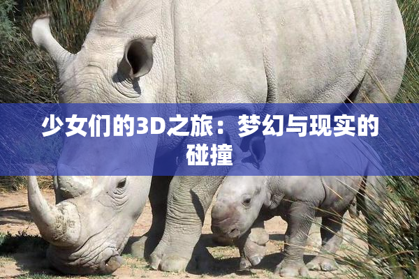少女们的3D之旅：梦幻与现实的碰撞
