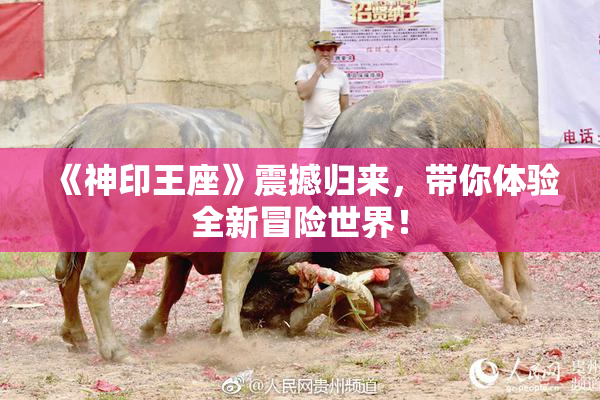 《神印王座》震撼归来，带你体验全新冒险世界！