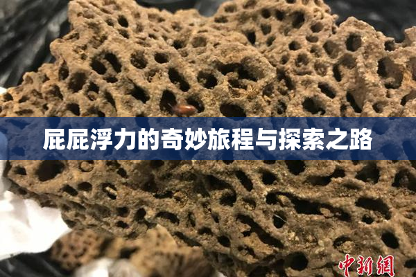 屁屁浮力的奇妙旅程与探索之路