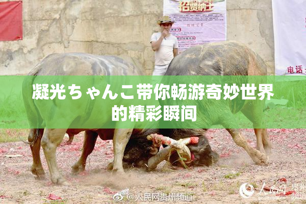 凝光ちゃんこ带你畅游奇妙世界的精彩瞬间