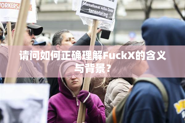 请问如何正确理解FuckX的含义与背景？
