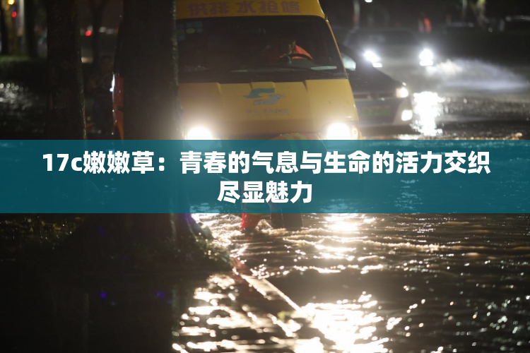 17c嫩嫩草：青春的气息与生命的活力交织尽显魅力