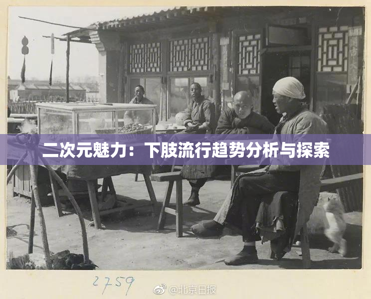 二次元魅力：下肢流行趋势分析与探索