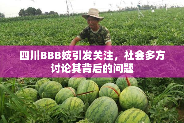 四川BBB妓引发关注，社会多方讨论其背后的问题