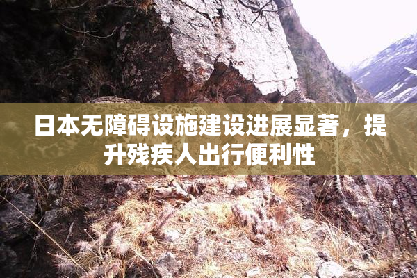 日本无障碍设施建设进展显著，提升残疾人出行便利性