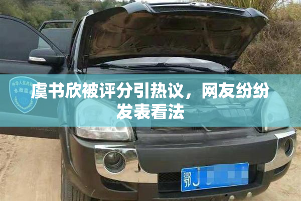 虞书欣被评分引热议，网友纷纷发表看法