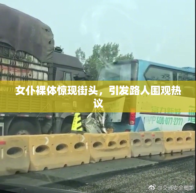 女仆裸体惊现街头，引发路人围观热议