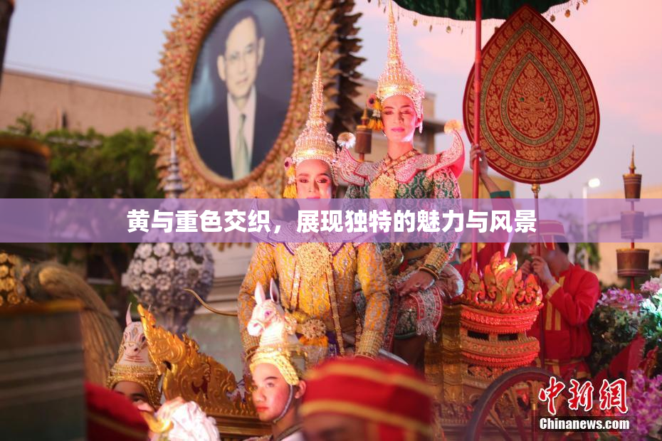 黄与重色交织，展现独特的魅力与风景