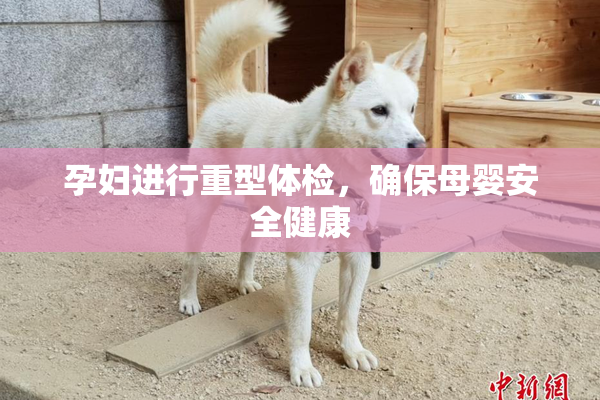 孕妇进行重型体检，确保母婴安全健康