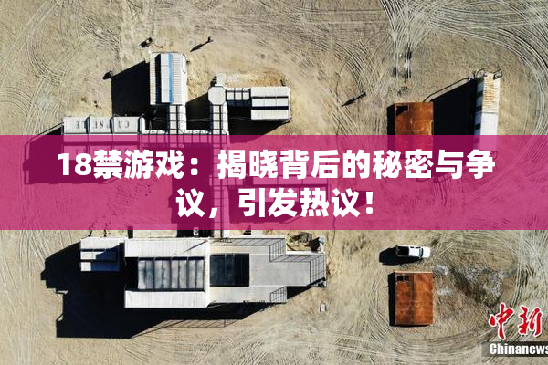 18禁游戏：揭晓背后的秘密与争议，引发热议！