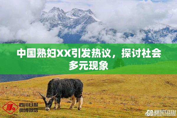 中国熟妇XX引发热议，探讨社会多元现象