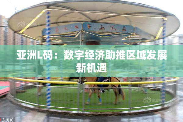 亚洲L码：数字经济助推区域发展新机遇