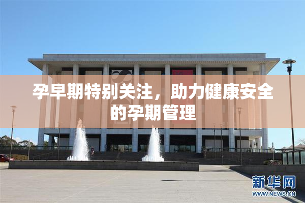 孕早期特别关注，助力健康安全的孕期管理