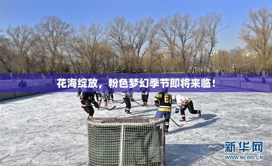 花海绽放，粉色梦幻季节即将来临！