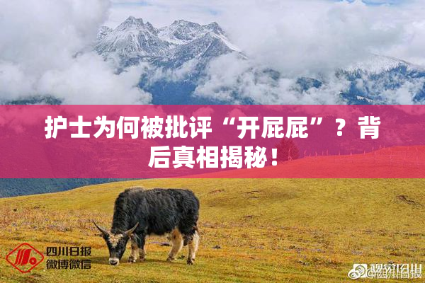 护士为何被批评“开屁屁”？背后真相揭秘！