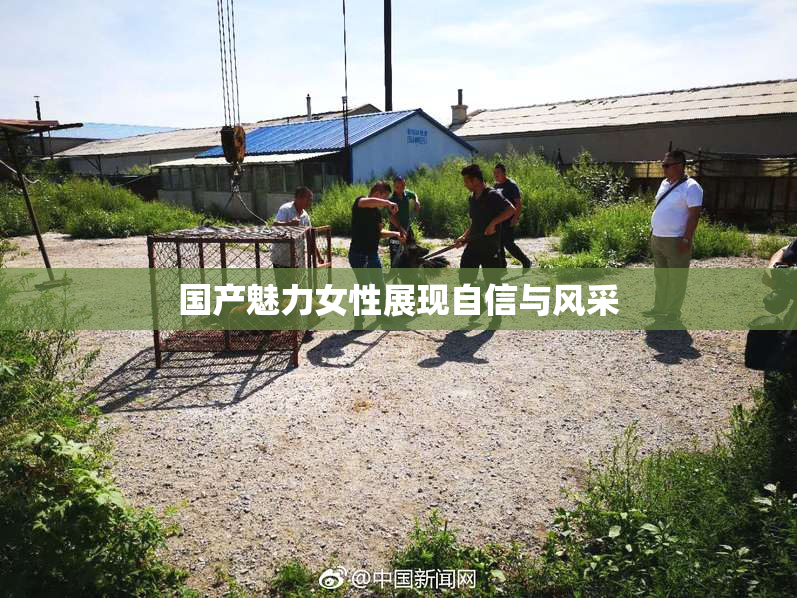 国产魅力女性展现自信与风采