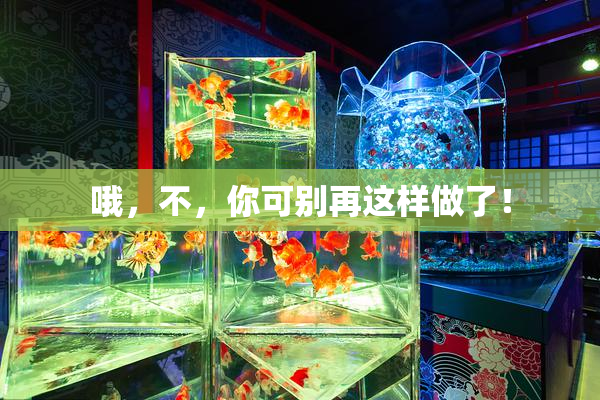 哦，不，你可别再这样做了！