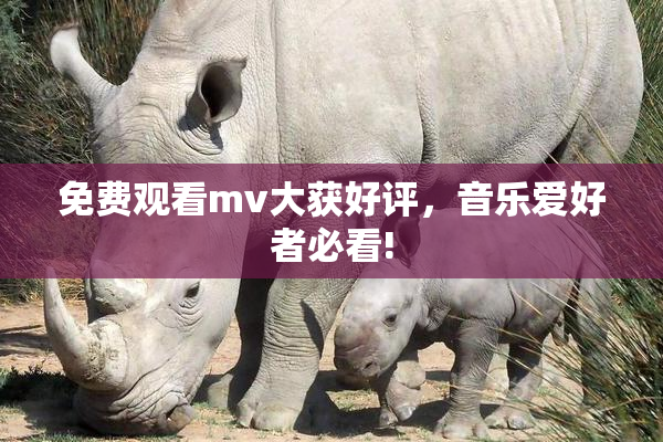 免费观看mv大获好评，音乐爱好者必看!