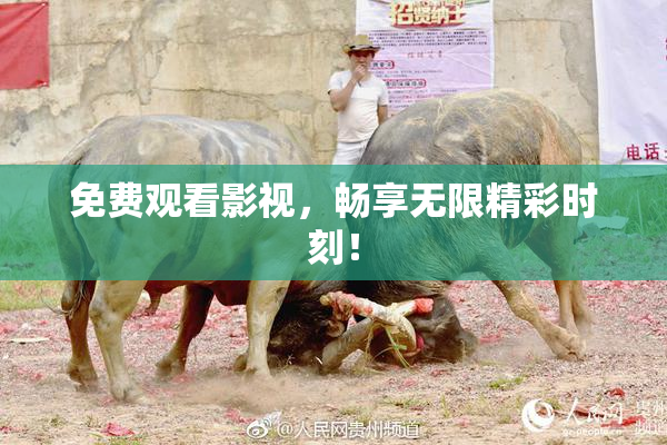 免费观看影视，畅享无限精彩时刻！