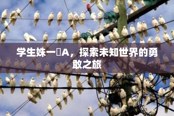 学生姝一﨤A，探索未知世界的勇敢之旅