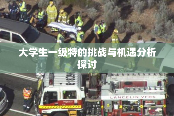 大学生一级特的挑战与机遇分析探讨