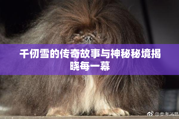 千仞雪的传奇故事与神秘秘境揭晓每一幕