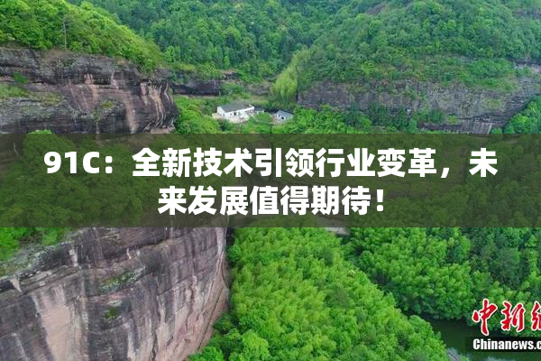 91C：全新技术引领行业变革，未来发展值得期待！