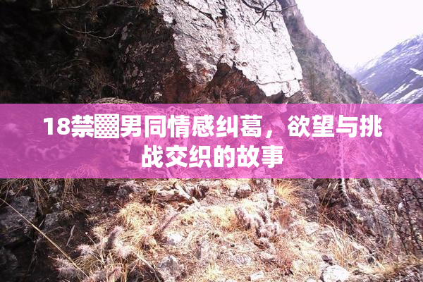 18禁▓男同情感纠葛，欲望与挑战交织的故事