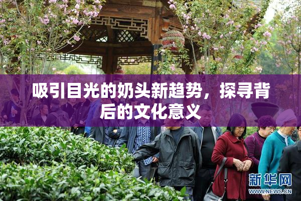 吸引目光的奶头新趋势，探寻背后的文化意义