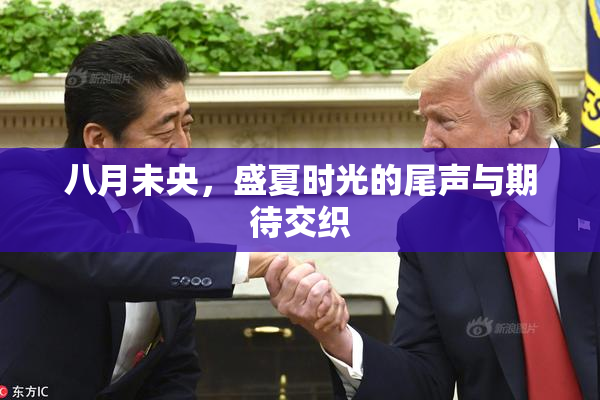 八月未央，盛夏时光的尾声与期待交织