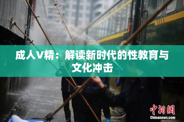成人V精：解读新时代的性教育与文化冲击